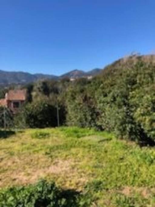 Villa En Corse Du Sud Entre Mer Et Montagne Peri Extérieur photo